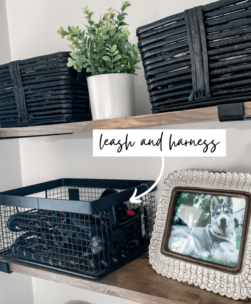 How To Organize Dog Leashes 5 Beautiful Yet Functional Ideas To