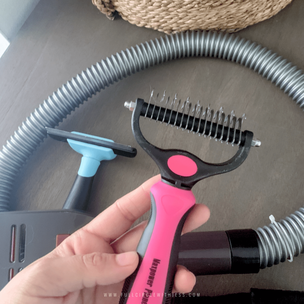 remove pet hair from car interior