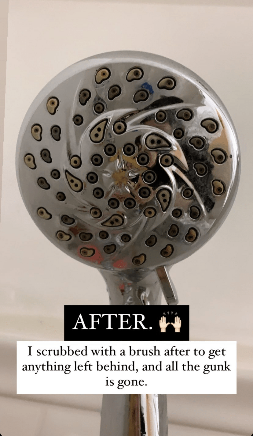 How To Clean A Shower Head Without Removing It Full Circle With Jess
