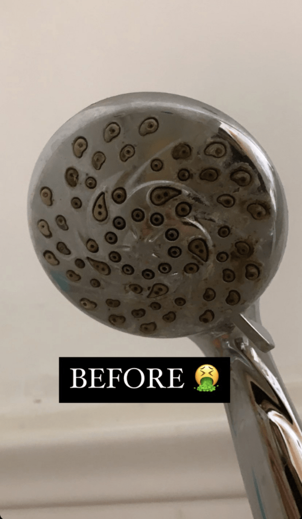 how to clean a shower head without taking it off